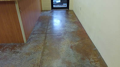 South Ocala Animal Clinic Before Concrete Cleaning and Concrete Polishing 4