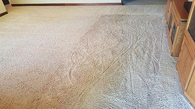 Carpet Steam Cleaning In Progress