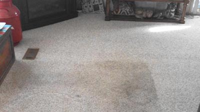 Like New Carpet After Cleaning