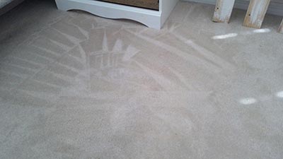 After Carpet Stain Removal