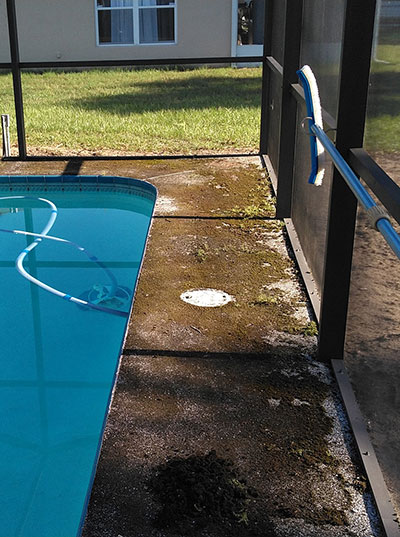 Chattahoochee pool deck growing moss