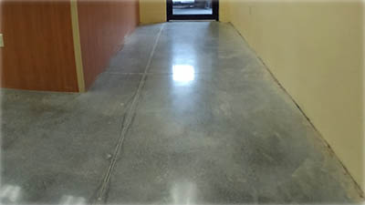 South Ocala Animal Clinic After Concrete Cleaning and Concrete Polishing 4