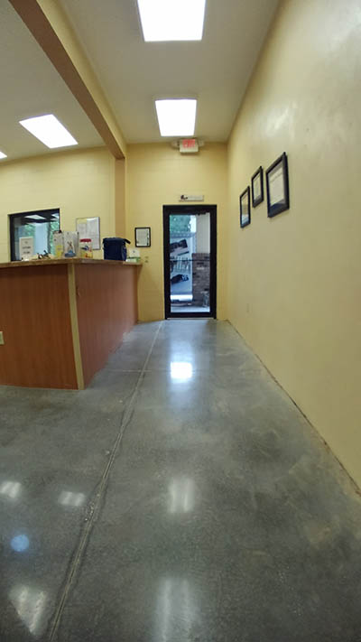South Ocala Animal Clinic project Completed: Concrete Cleaning and Concrete Polishing