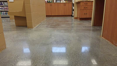 Ocala Concrete Polishing job for South Ocala Animal Clinic