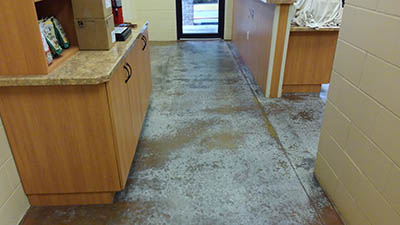 South Ocala Animal Clinic Before Concrete Cleaning and Concrete Polishing 2