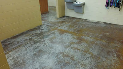 South Ocala Animal Clinic Before Concrete Cleaning and Concrete Polishing 3