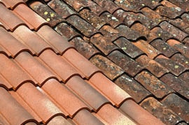 Ocala Roof Steam Cleaning