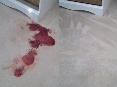 Like New Carpet After Carpet Stain Removal