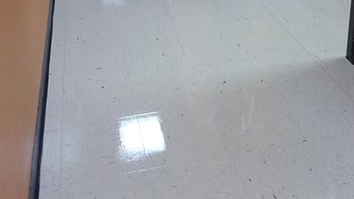  Vinyl Floor Cleaning Complete